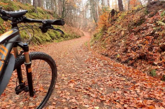 To już ostatni moment na wypad rowerowy po lasach liściastych, za chwilę pryśnie czar pięknej jesieni. Wybierz się z nami, poznaj ciekawe miejsca i pozytywnie zakręcone towarzystwo.