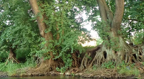Reda jest najbardziej wymagającą rzeką w okolicach Trójmiasta. W nurcie występują liczne przeszkody: drzewa, kamienie, bystrza. To jednak także przepiękna przyroda zmienna wraz z różnymi porami roku