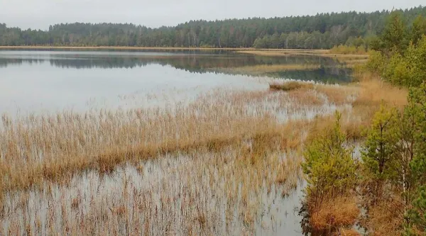 Oprócz wielkich jezior wdzydzkich zobaczymy ponad trzydzieści innych jezior, w tym także lobeliowych oraz borowych. Nad niektórymi z nich zobaczymy lokalne ścieżki dydaktyczne wiodące przez kładki i punkty widokowe.