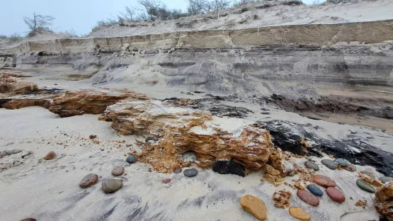 Klifowe wybrzeże kształtują tu podmywane przez fale morskie wydmy, z których co chwilę zobaczyć można ogromne pokłady żywicy i torfu. To zupełnie inne formy piasku niż w głównej części wydm, w okolicach np. Łeby.