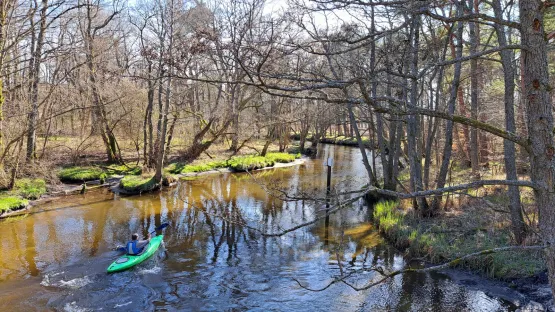 Rzeka meandruje wśród podmokłych Łąk Piaśnickich, Nadmorskiego Parku Krajobrazowego. To wspaniały odcinek na aktywny wypoczynek z dala od cywilizacji i zatłoczonego miasta.