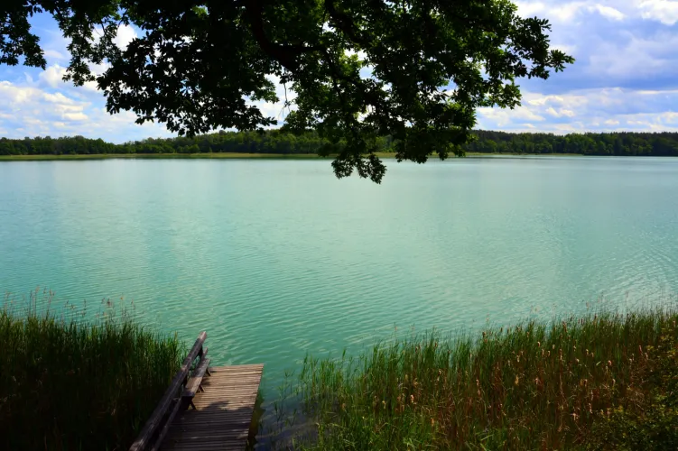 Na terenie leśnego ogrodu botanicznego znajduje się punkt widokowy na niezwykle czyste Jezioro Borzechowskie. O tej porze roku, w słońcu ma ono niesamowity, turkusowy kolor.