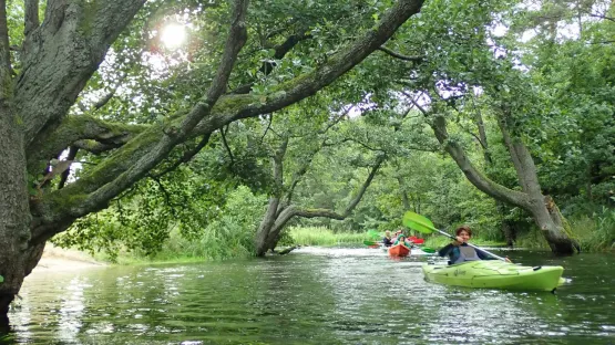 10 km odcinek rzeki to idealny temat na dobry początek przygody w kajaku zarówno dla dorosłych jak i rodzin z dziećmi. Płynąć można samodzielnie kajakiem jednoosobowym lub dwuosobowym w parze, wybór należy do Ciebie.