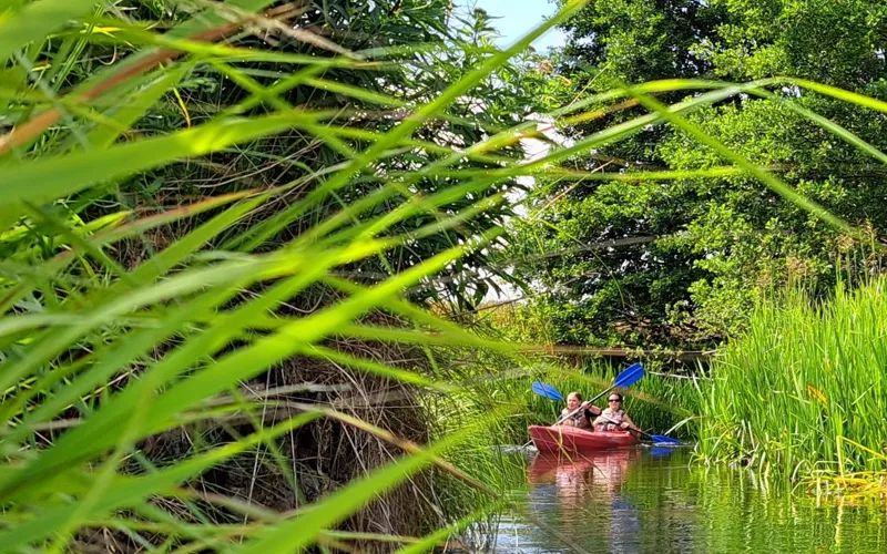 2 godziny wiosłowania to idealny czas na naukę pływania, bądź rodzinną sielankę. A na koniec wypoczynek na plaży i cudowny zachód słońca nad Bałtykiem. Warto zadbać o wypoczynek nie tylko w weekendy i podczas urlopów !