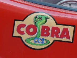 Gdańscy strażacy ujarzmili "Cobrę"