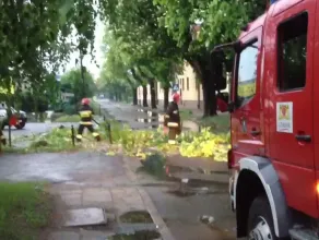 Strażacy usuwają zwalone drzewo