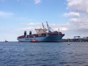 Maersk Mc-Kinney M&#248;ller cumuje w DCT