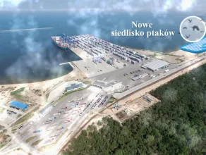 Zmiany w zwązku z budową nowego terminalu kontenerowego na Stogach