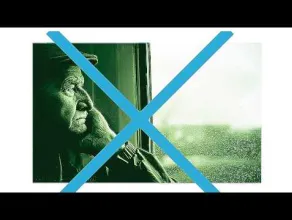 Olo Walicki Kaszebe II - Salamon