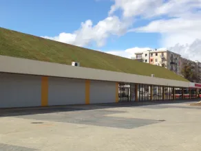 Wielki roślinny dach sklepu