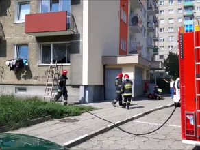 Dym i spalona kuchnia na parterze wieżowca w Gdańsku