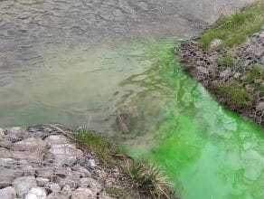 Zielona substancja wpływa do zbiorników we Wrzeszczu