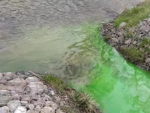 Zielona substancja wpływa do zbiorników we Wrzeszczu
