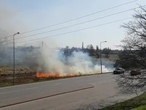 Pożar trawy na wjeździe do Pruszcza Gdańskiego 