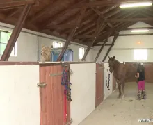 Przepiękne ranczo w Borach Tucholskich