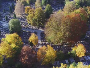 Jesień na cmentarzu i w lasach witomińskich