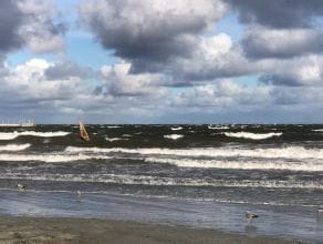 Windsurfer korzysta z silnego wiatru na zatoce