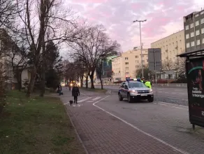 Policja i SM kontrolują buspas na Władysława IV w Gdyni