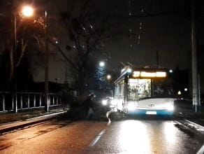 Konar na ul. Chylońskiej. Kierowca i pasażer trolejbusu usuwają przeszkodę