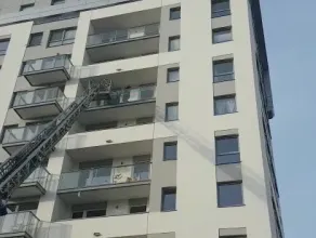 Strażacy ratują ptaka na balkonie