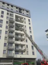 Strażacy uratowali ptaka z balkonu 