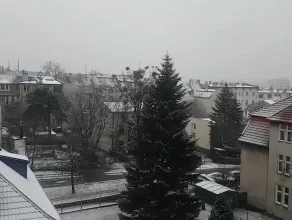 Lekko pada śnieg we Wrzeszczu