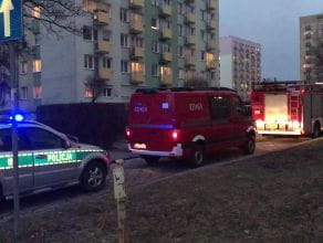 Straż pożarna i policja na Witominie