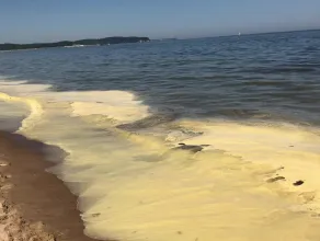Żółta woda na plaży w Sopocie