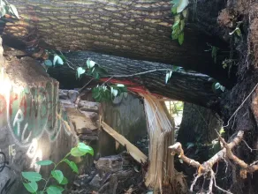 Zniszczone garaże przy Wałowej - powalone drzewo