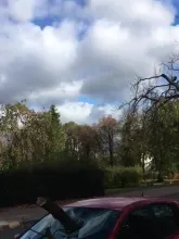 Konar drzewa uszkodził auto na Traugutta w Gdańsku