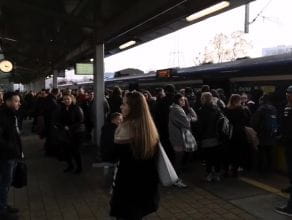 Chaos na stacji SKM Żabiabka 