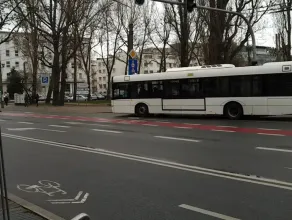 Białe autobusy w Gdyni. Testy hybrydy na normalnej linii