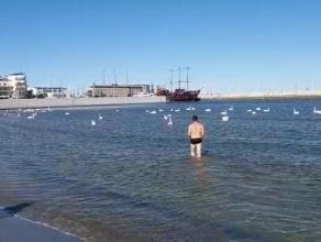 Kąpiel w morzu w Gdyni? Dlaczego nie