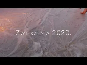 Zwierzenia 2020 trailer