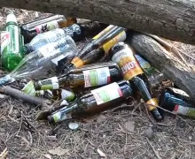 Zaśmiecona Dolina Elfów 