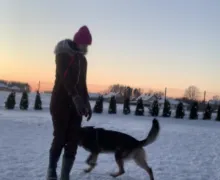 Trening komendy zostań 