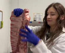 Prezentacja MS Gastro