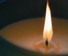 Erotic Massage in Gdynia | VINNERI