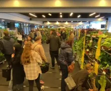 Festiwal Roślin na Polsat Plus Arenie w Gdańsku