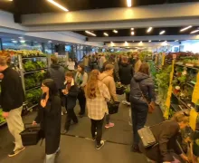Festiwal Roślin na Polsat Plus Arenie w Gdańsku