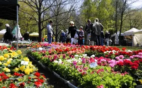                     Festyn i targi ogrodnicze w Parku Kolibki
                                                <span class="trm trm-news-art-sponsorowany" title="artykuł sponsorowany"></span>
                        