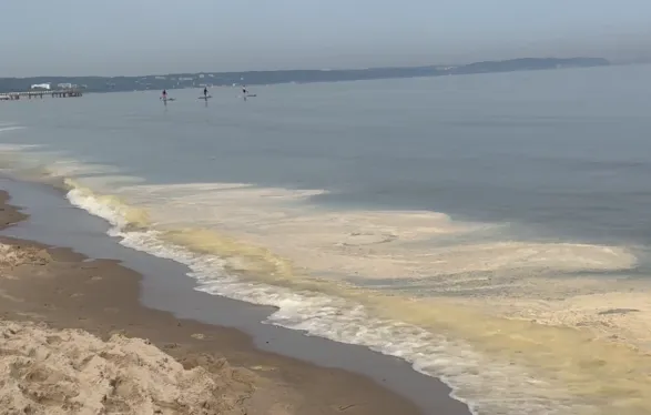                     Żółta woda w Zatoce Gdańskiej [Raport]
            