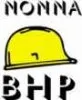 Nonna Usługi BHP logo