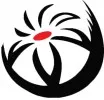 Kwiaty Akcent i Styl logo