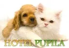 Hotel Pupila - hotel dla małych ras psów i kotów