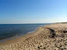Plaża Sobieszewo