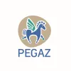 Poradnia Psychologiczno-Pedagogiczna Pegaz logo