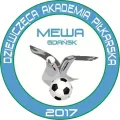 Dziewczęca Akademia Piłkarska logo