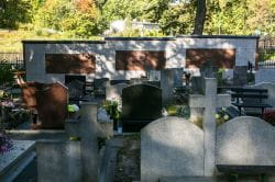Cmentarz Komunalny Salvator Nowy