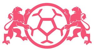Akademia Piłkarska Orlen Gdańsk logo